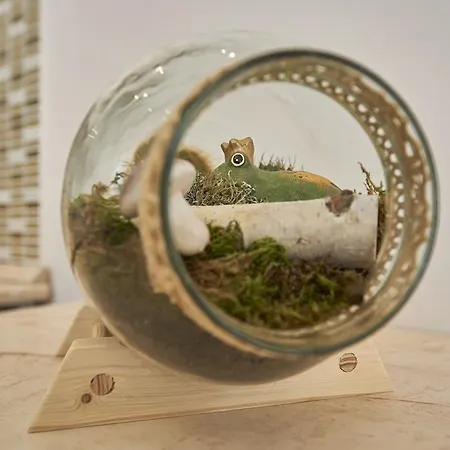 Falk Miksa Budapeszt