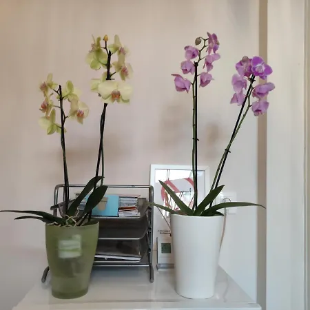 Apartamento Falk Miksa