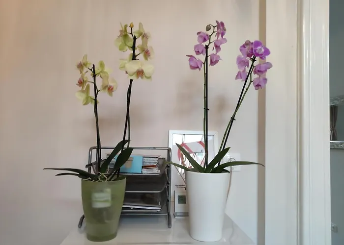 Apartament Falk Miksa